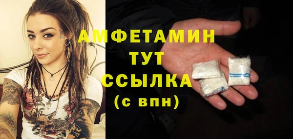 стаф Аркадак
