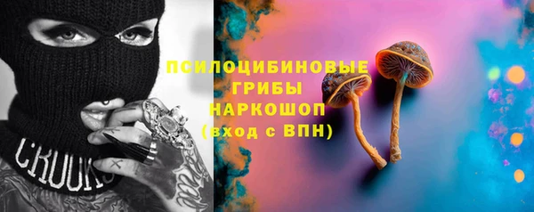 амф Алексин