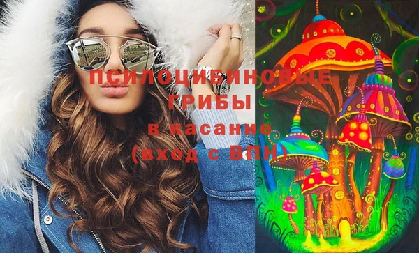 стаф Аркадак
