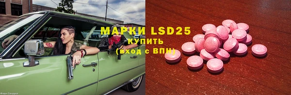 стаф Аркадак