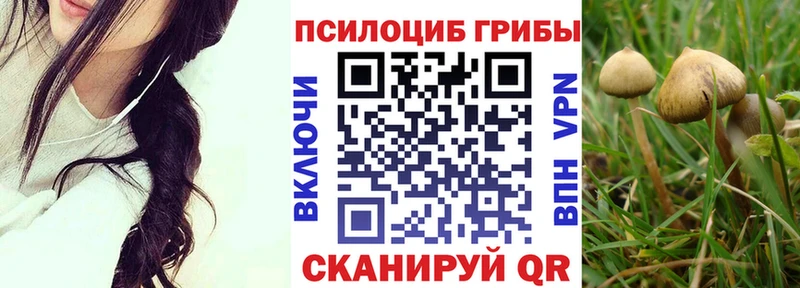 Псилоцибиновые грибы Magic Shrooms  МЕГА как войти  Спасск  купить  